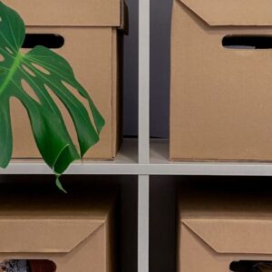 Cardboard storage boxes with lids