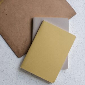 Manila file folders with binder clip